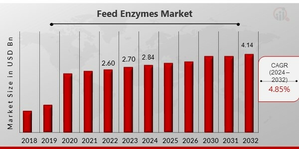 Feed Enzymes Market Overview