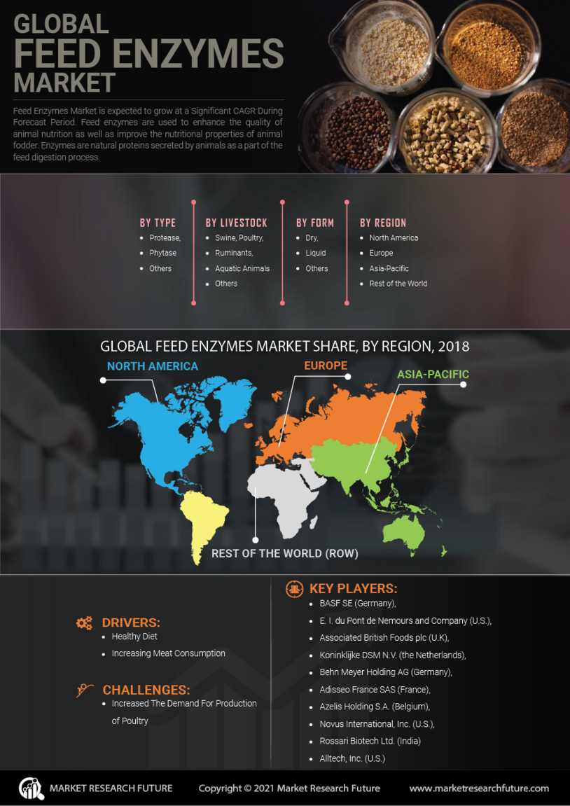 Feed Enzymes Market