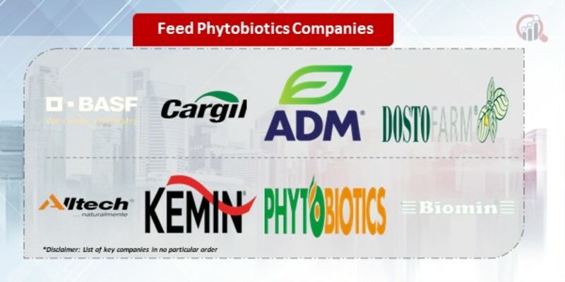 Feed Phytobiotics Companies