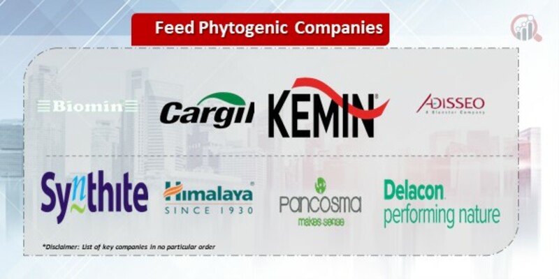 Feed Phytogenic Companies