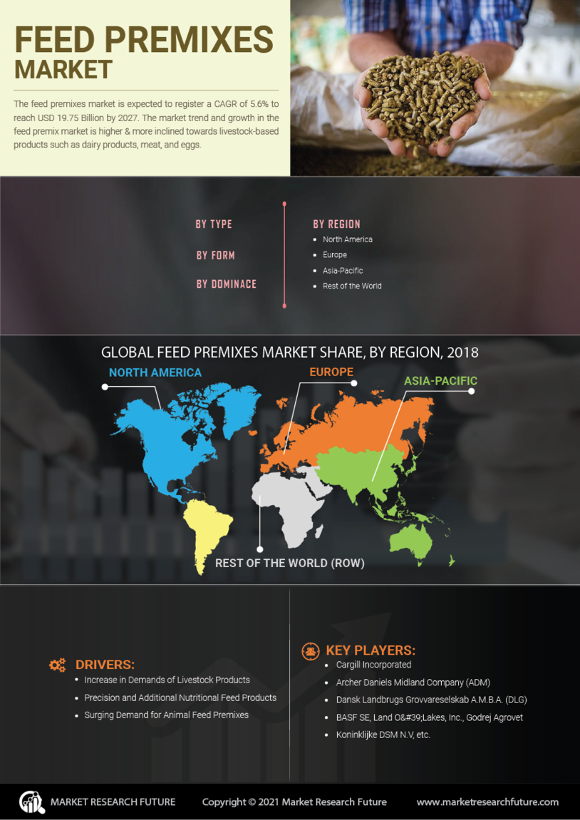 Feed Premix Market