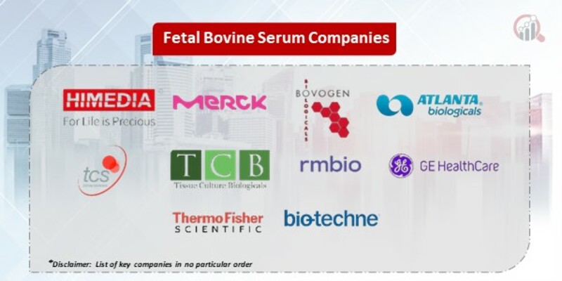 Fetal Bovine Serum Market 