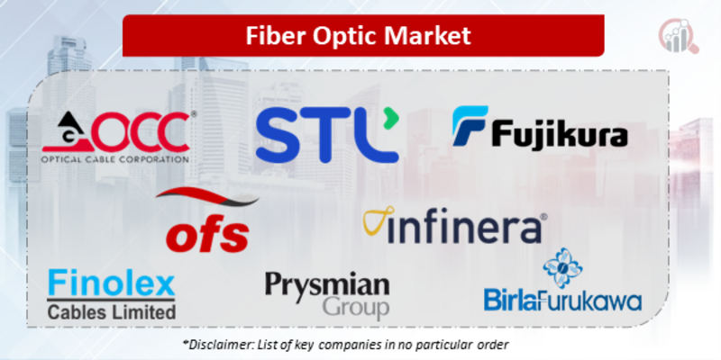 Fiber Optic Companies