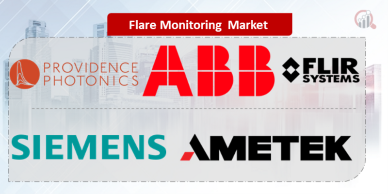 Flare Monitoring Key Company