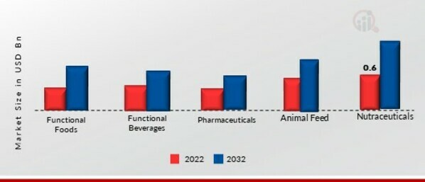 Flavonoids Market, by Application, 2022 & 2032 (USD billion)