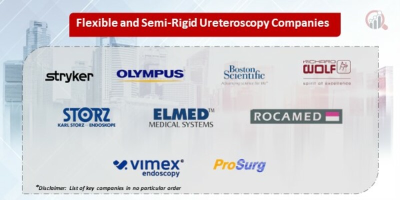 Flexible and Semi-rigid Ureteroscopy Key Companies