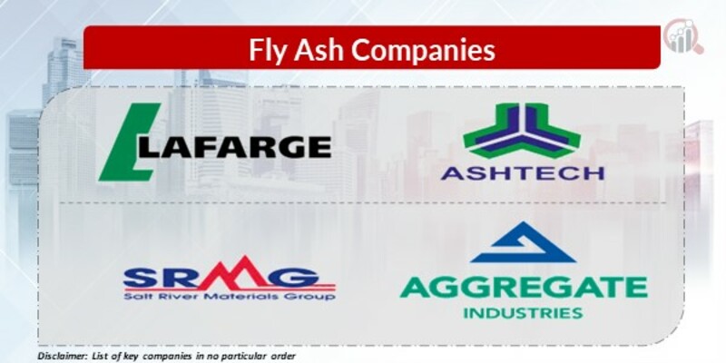 Fly Ash Key Companies