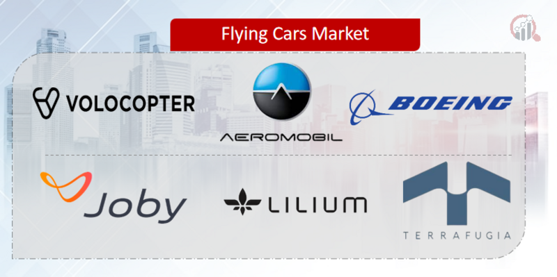Flying Cars Key Company