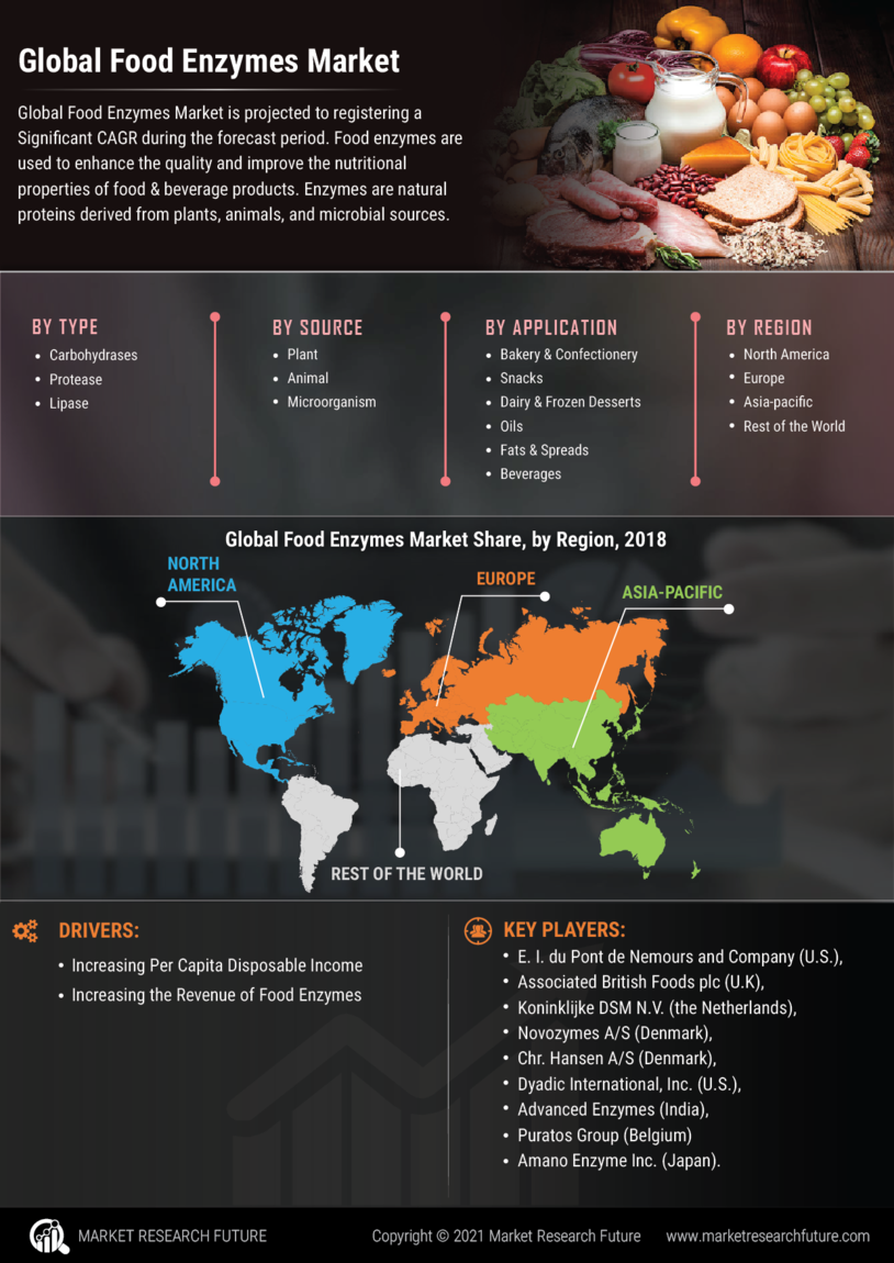 Food Enzymes Market Research Report - Forecast to 2027 Infographic