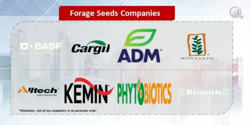 Forage Seeds Companies