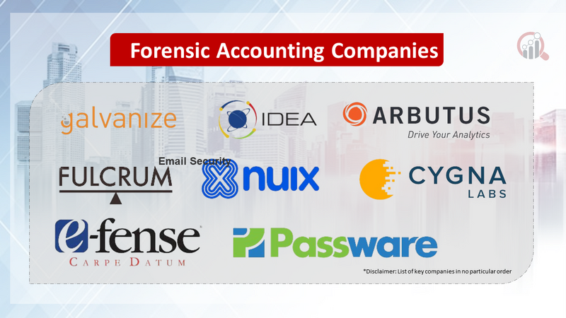 Forensic Accounting Companies
