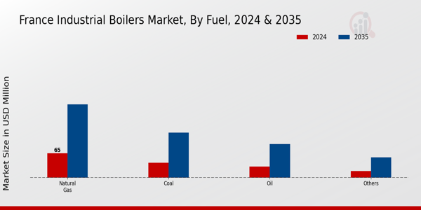 France Industrial Boilers Market Fuel Insights