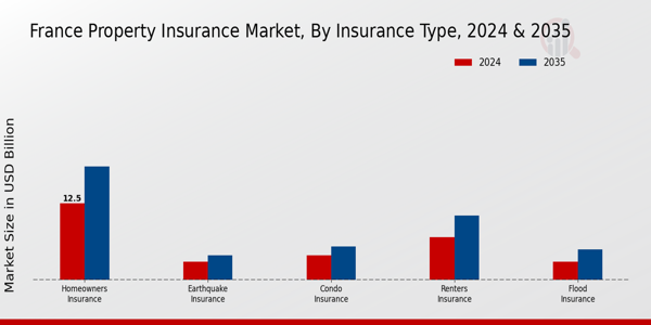 France Property Insurance Market Insurance Type Insights