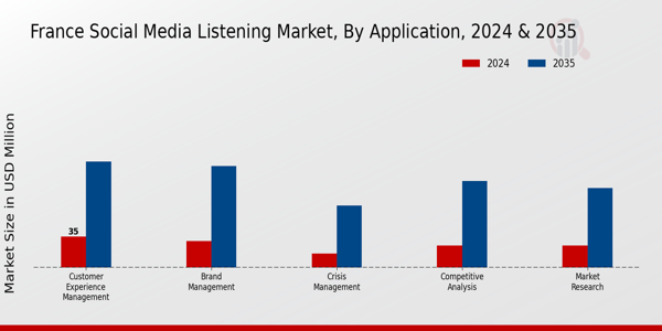 France Social Media Listening Market Segment