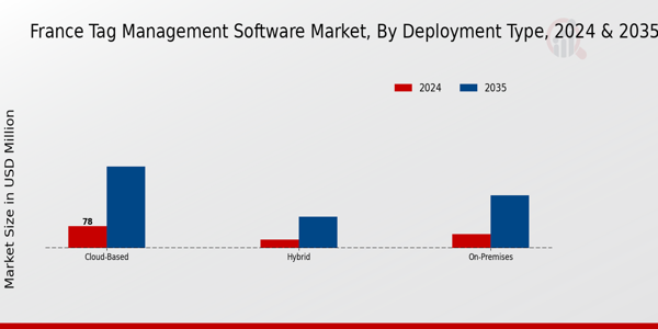 France Tag Management Software Market Segment