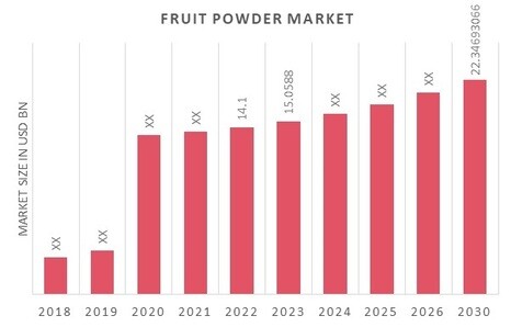 Fruit Powder Market Overview