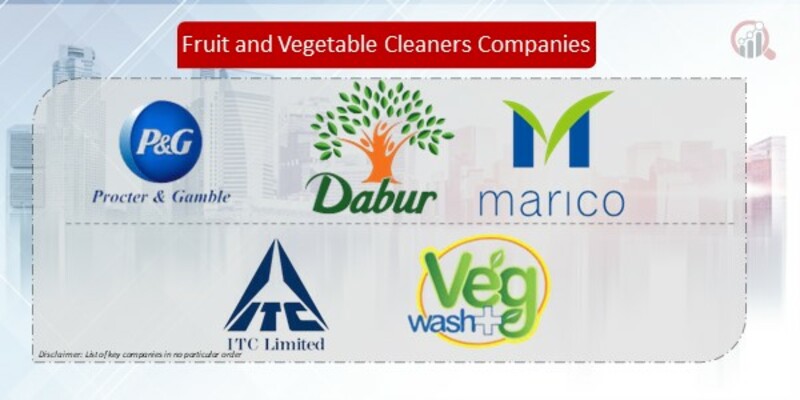Fruit and Vegetable Cleaners Companies