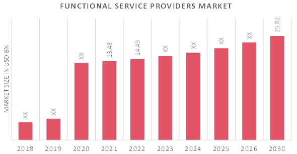 Functional Service Providers Market Overview