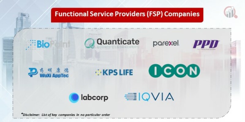 Functional Service Providers (FSP) Key Companies