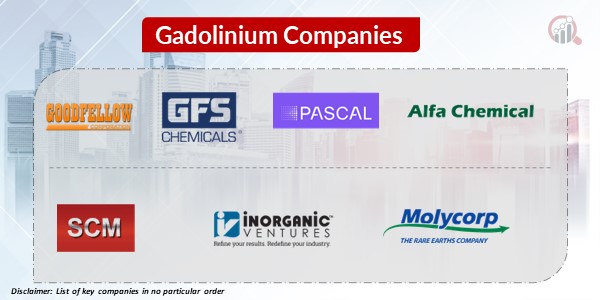 Gadolinium Key Companies 