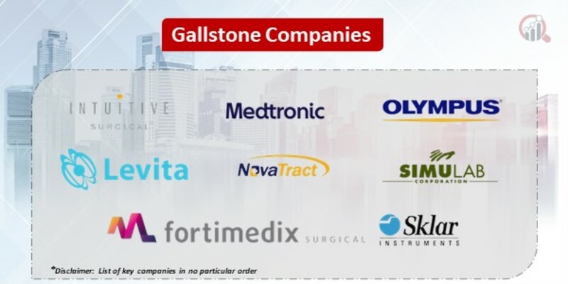Gallstone Key Companies