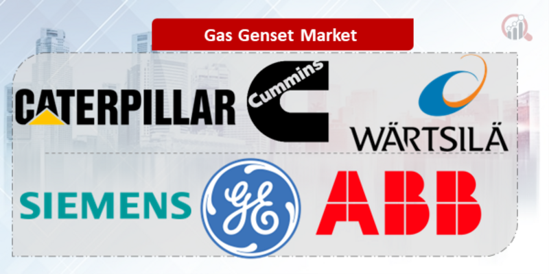 Gas Genset Key Company