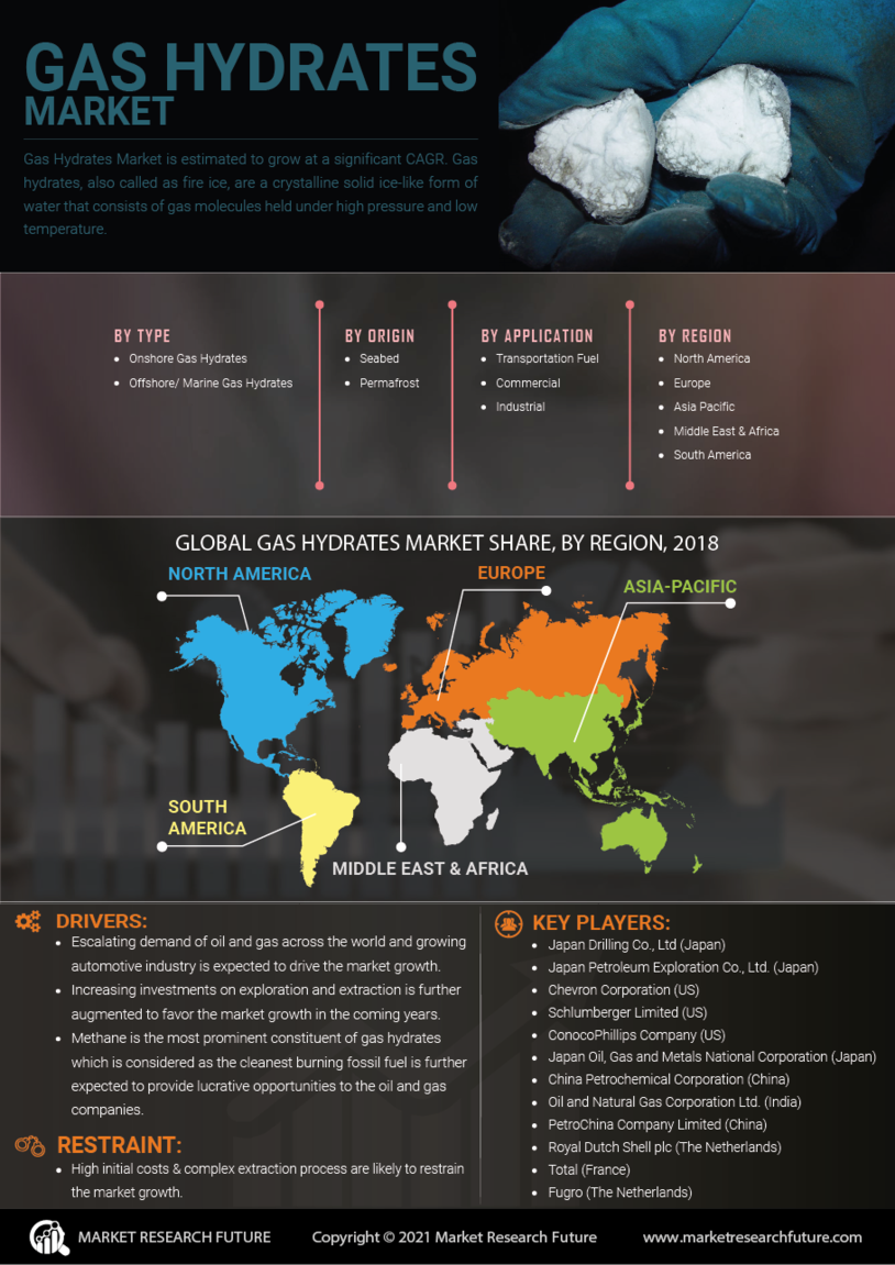 Gas Hydrates Market