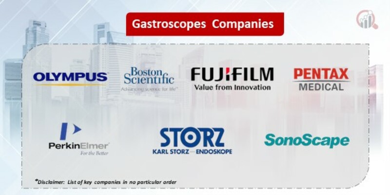 Gastroscopes Key Companies