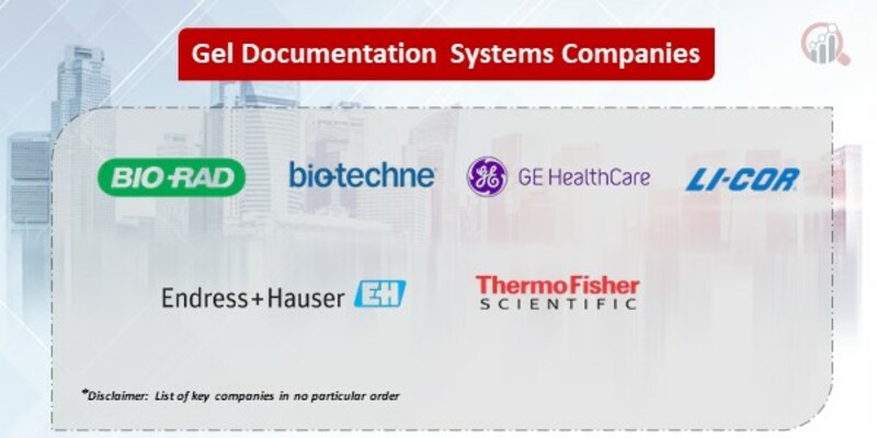 Gel Documentation Systems Key Companies