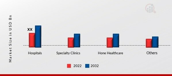 Gigantism Drugs Market by End User, 2022 & 2032