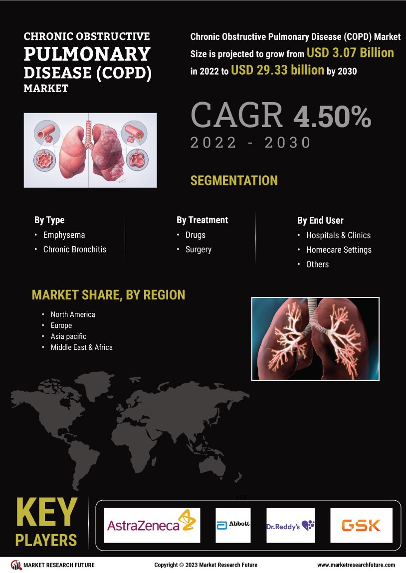 Chronic Obstructive Pulmonary Disease (COPD) Market