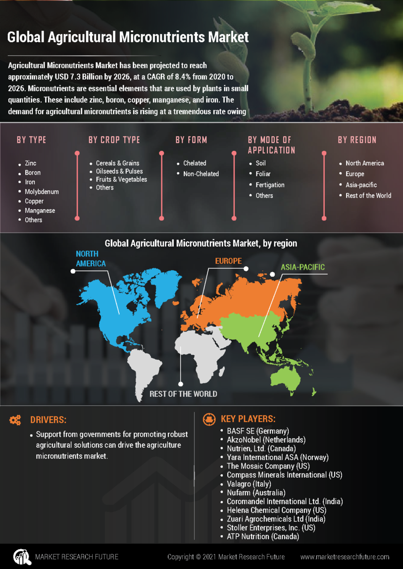 Agricultural Micronutrients Market