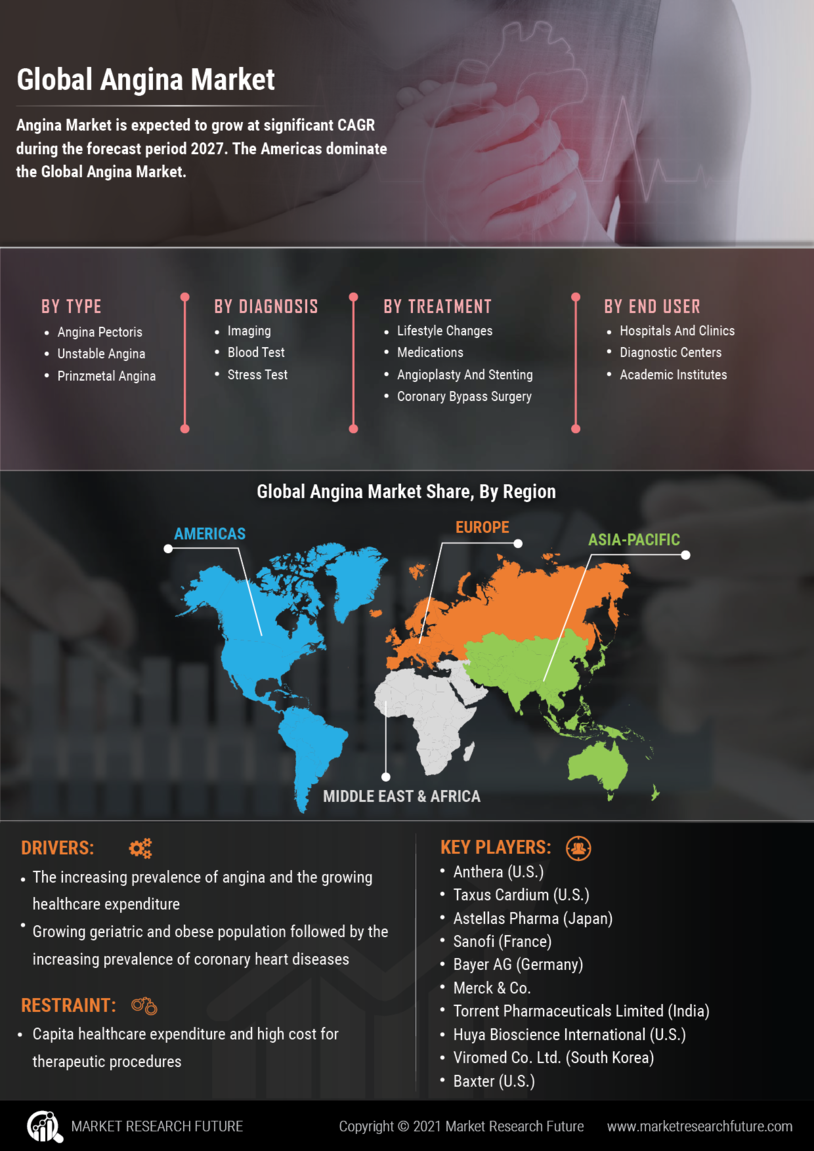 Angina Market