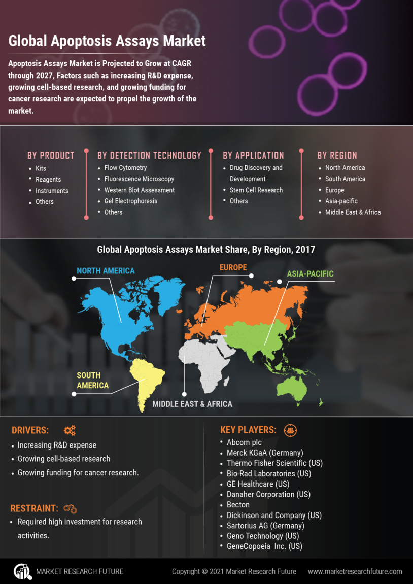 Apoptosis Assays Market 