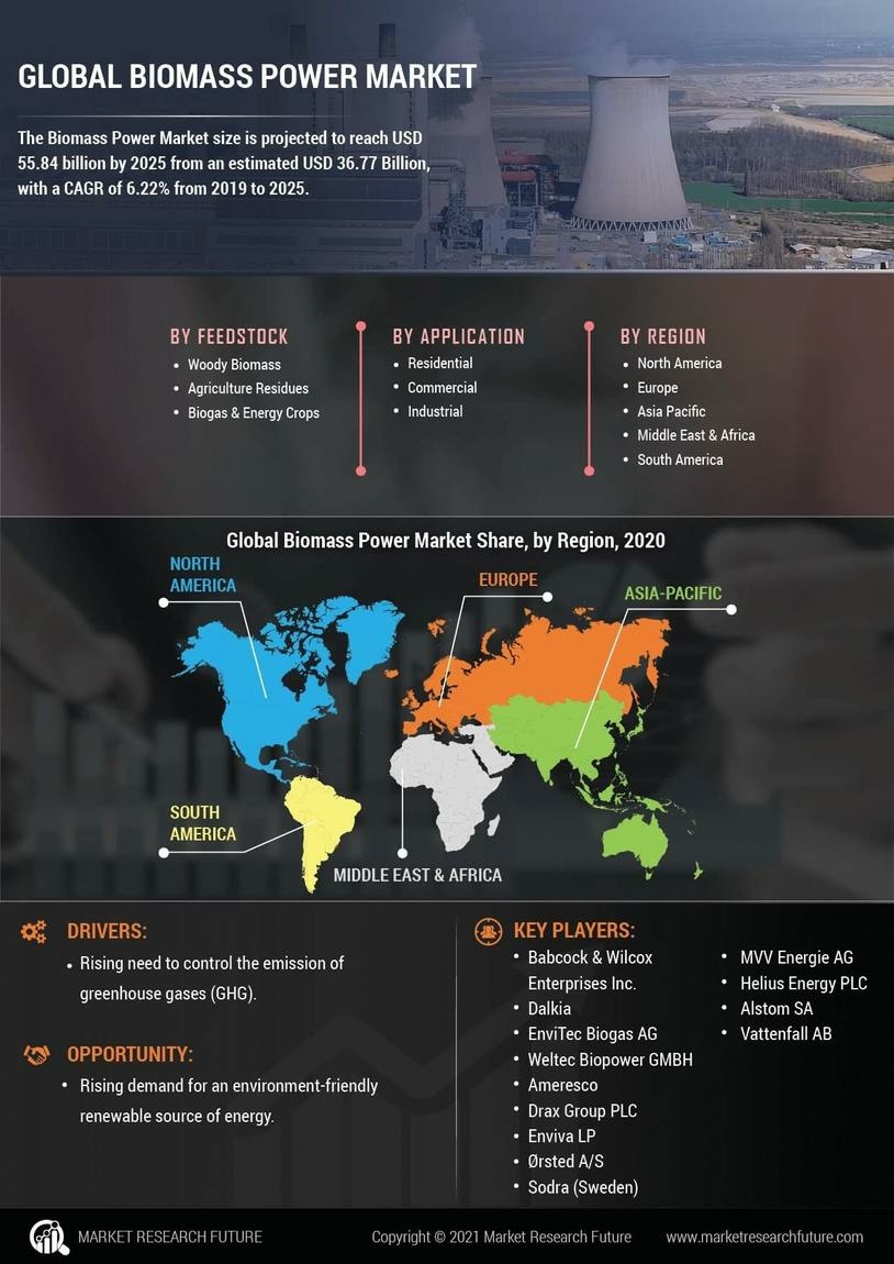 Biomass Power Market