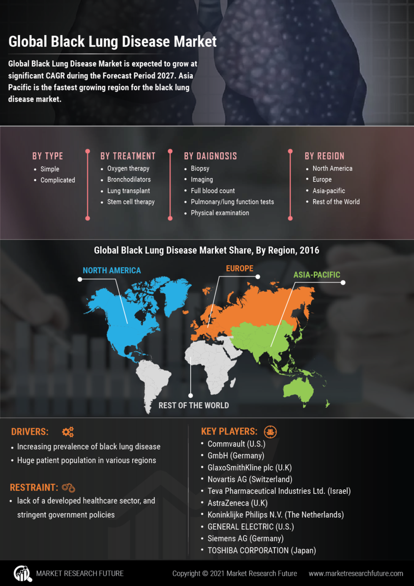 Black Lung Disease Market