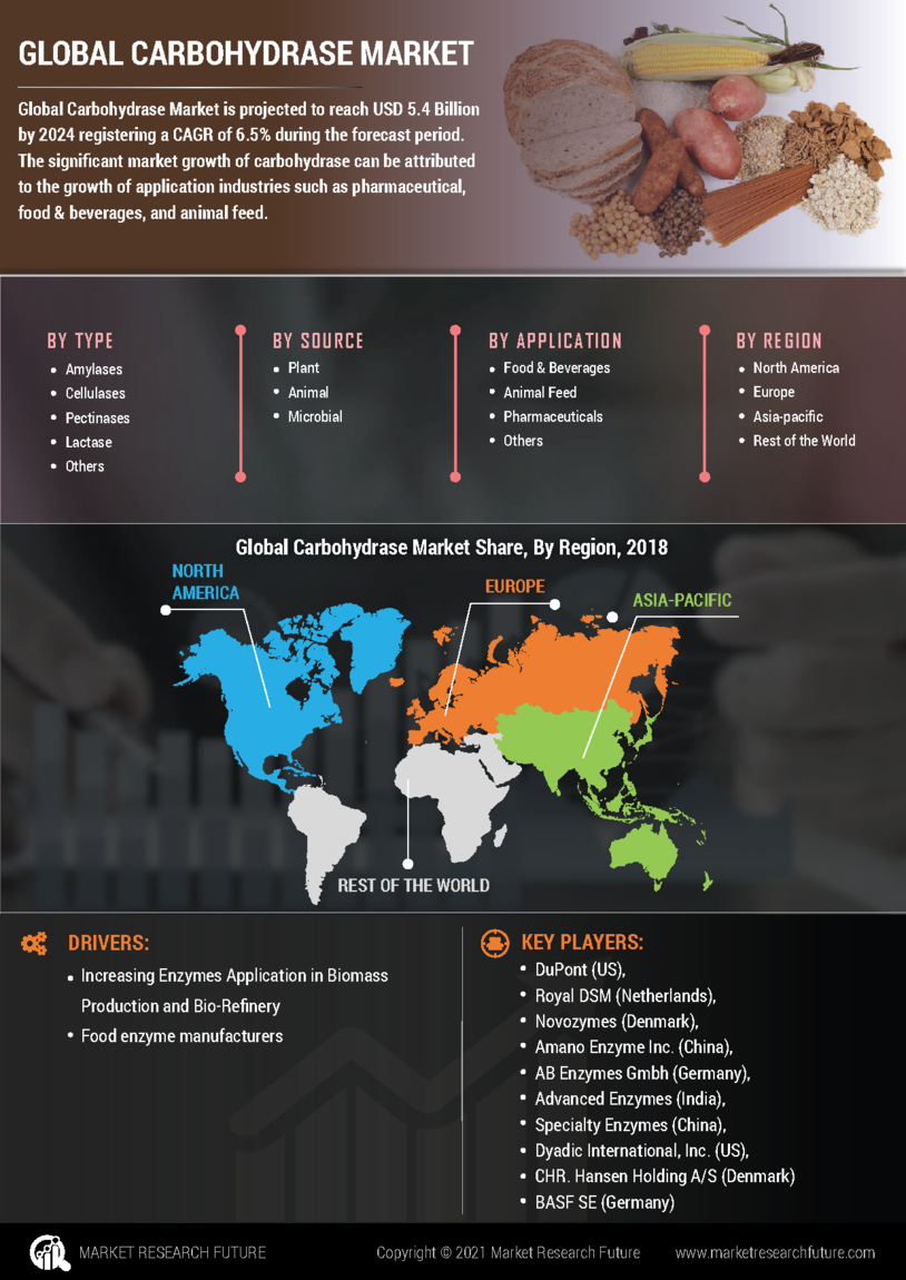 Carbohydrase Market