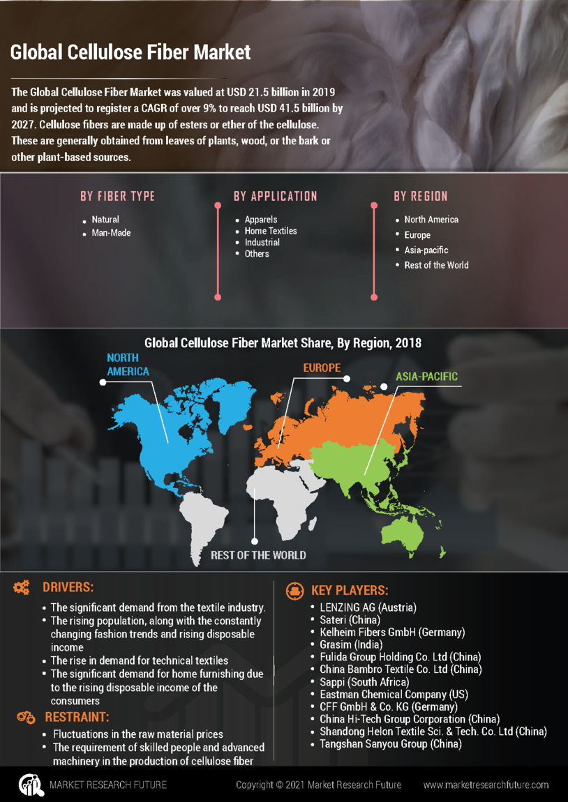 Cellulose Fiber Market