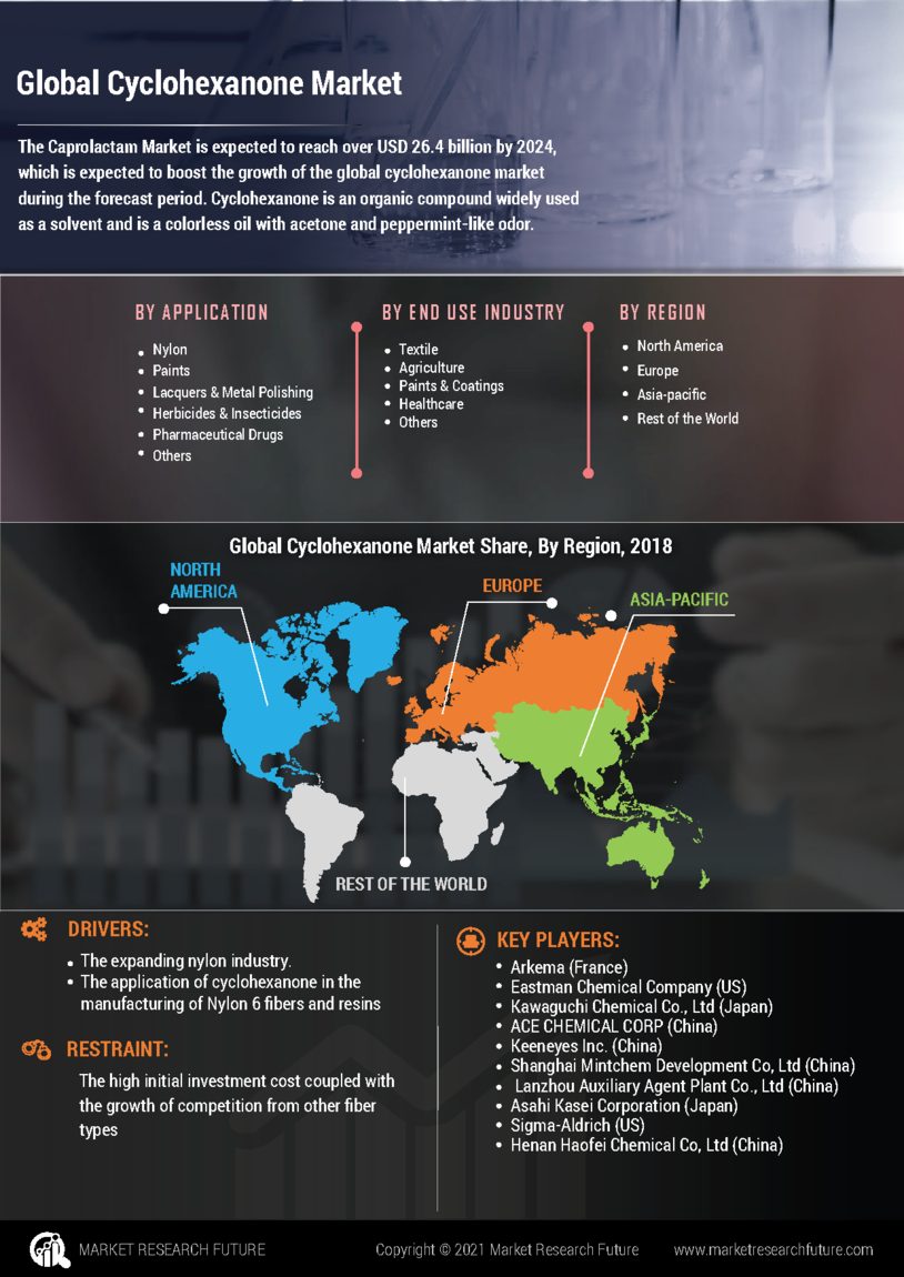 Cyclohexanone Market