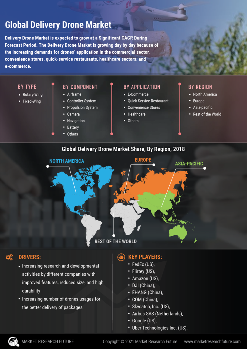 Delivery Drones Market