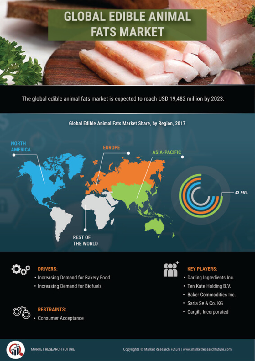 Edible Animal Fat Market