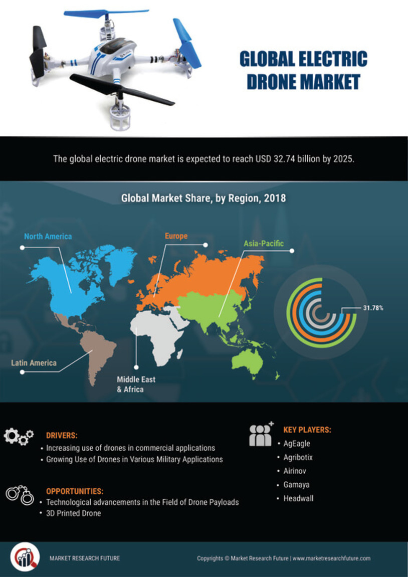 Electric Drone Market