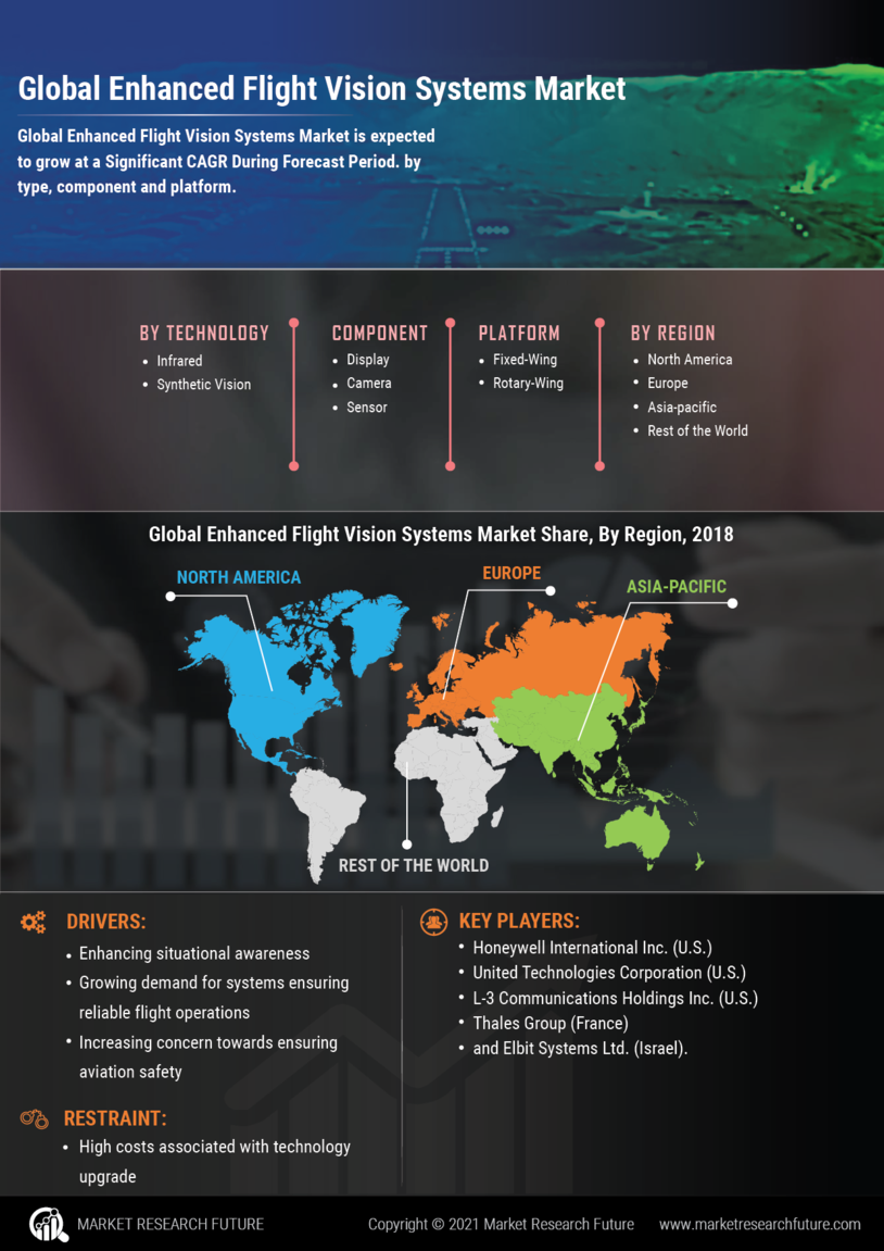 Enhanced Flight Vision Systems Market