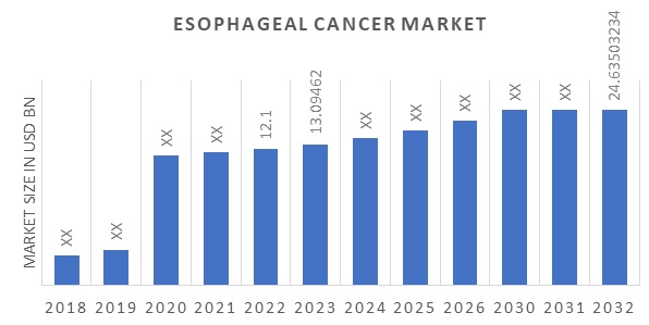 Global Esophageal Cancer Market Overview