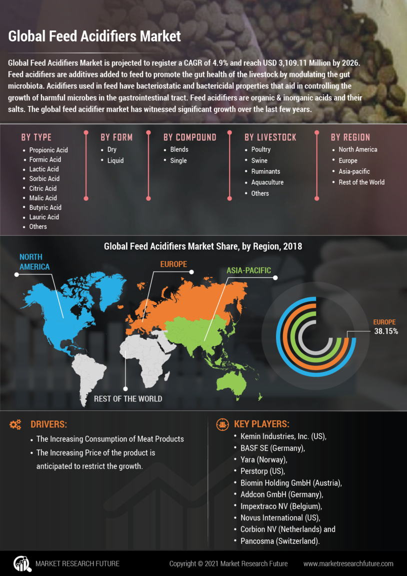 Feed Acidifiers Market