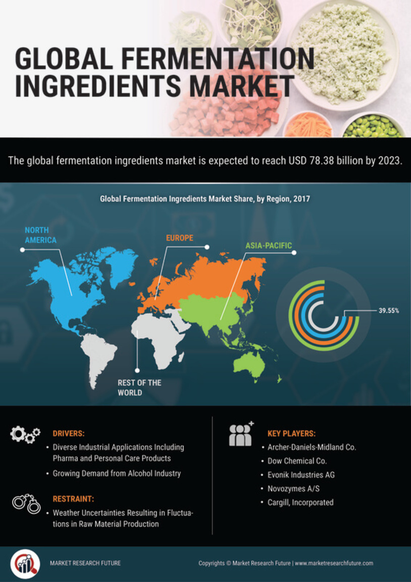 Fermentation Ingredients Market