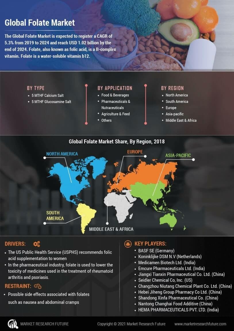 Folate Market