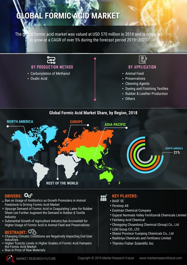 Formic Acid Market