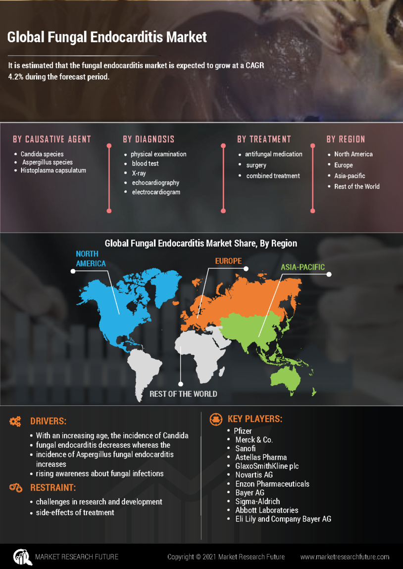 Fungal Endocarditis Market