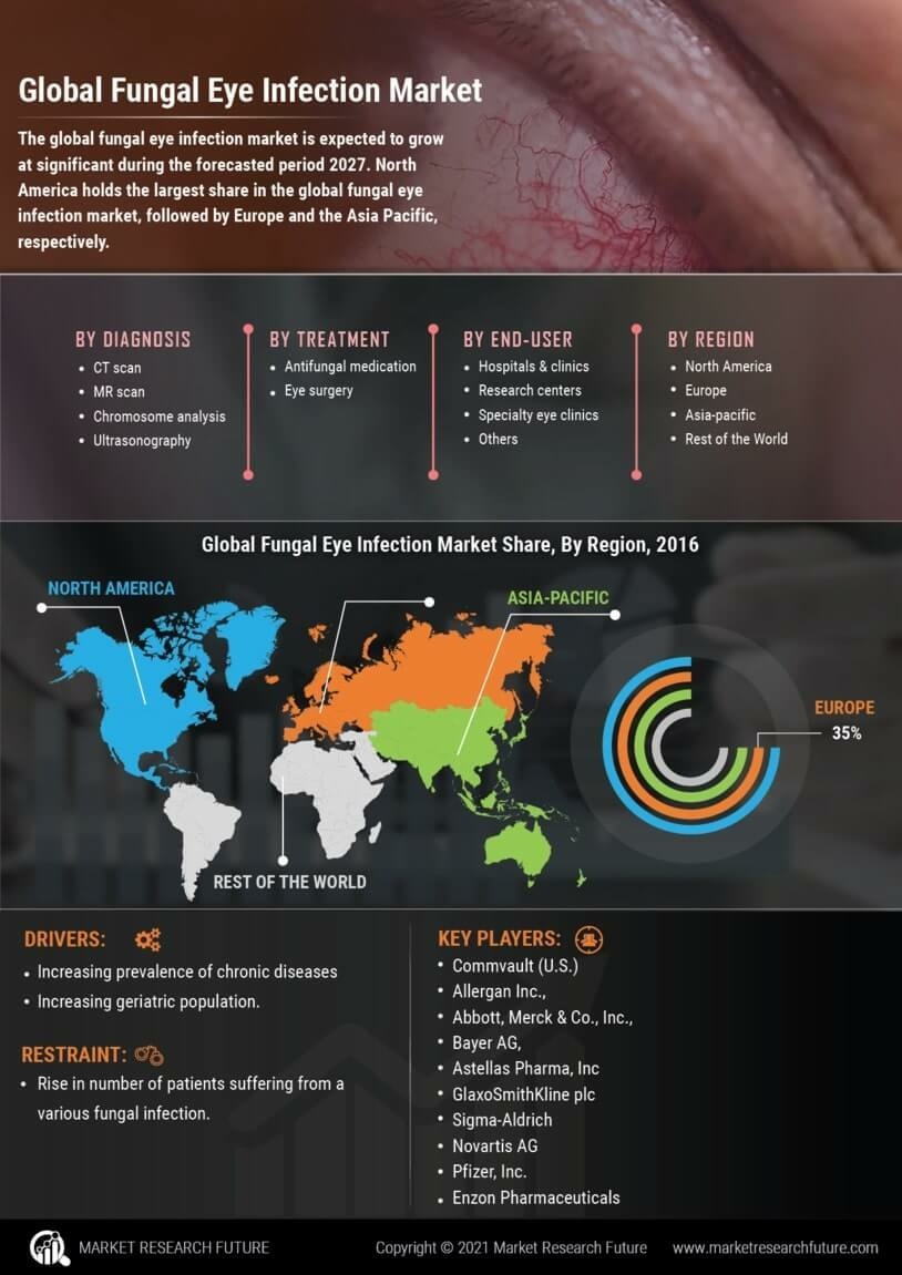 Fungal Eye Infection Market